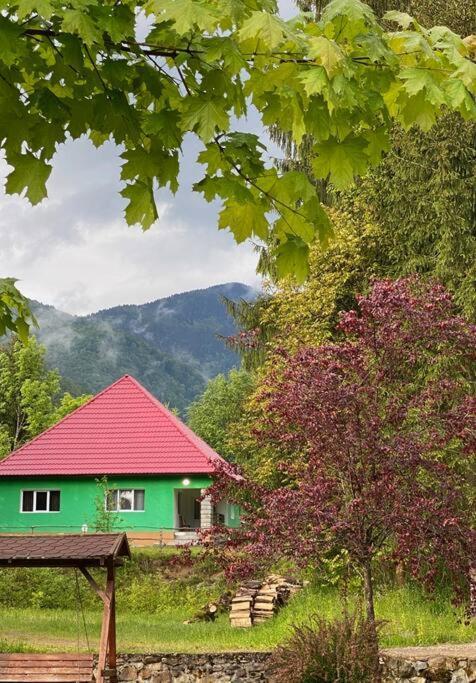 The Green House - Apuseni Mountains Pietroasa  外观 照片
